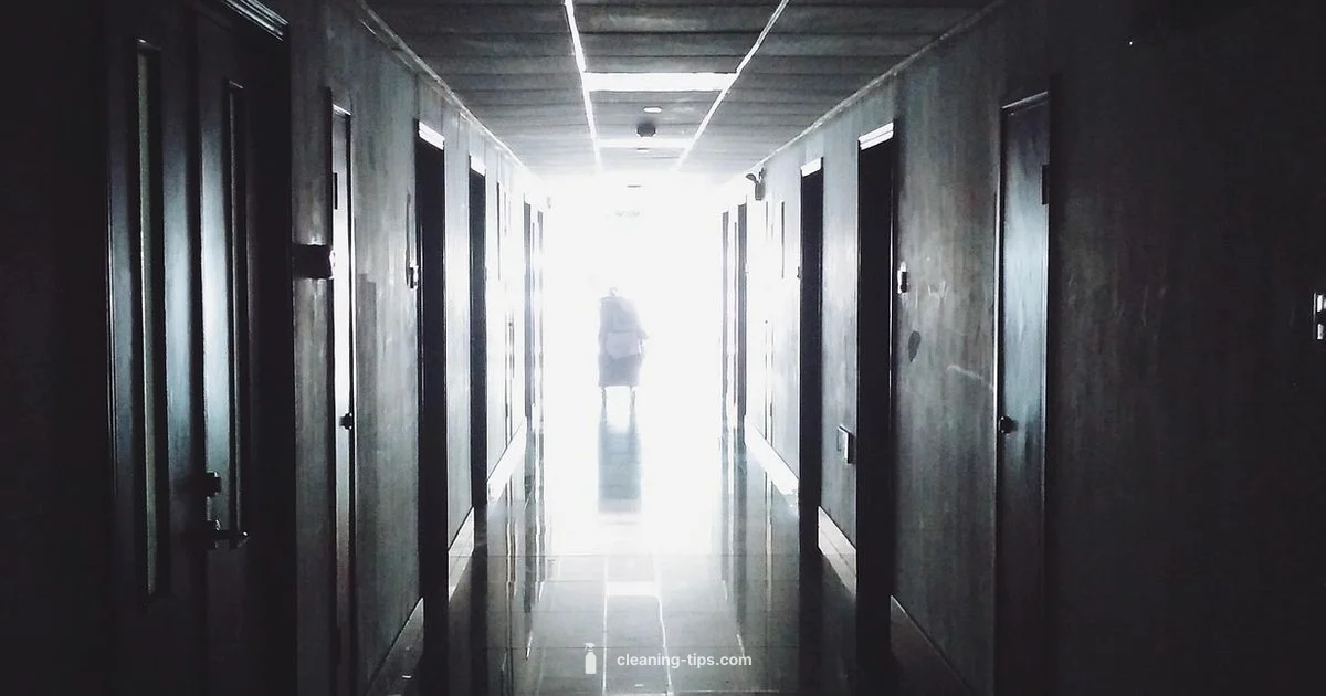 Clean Carts Guide - Cleaning Tips