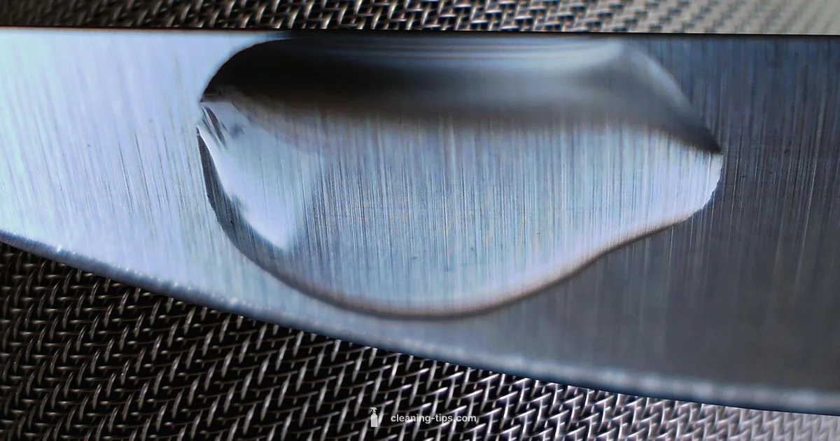 Dishwasher Care Guide - Cleaning Tips