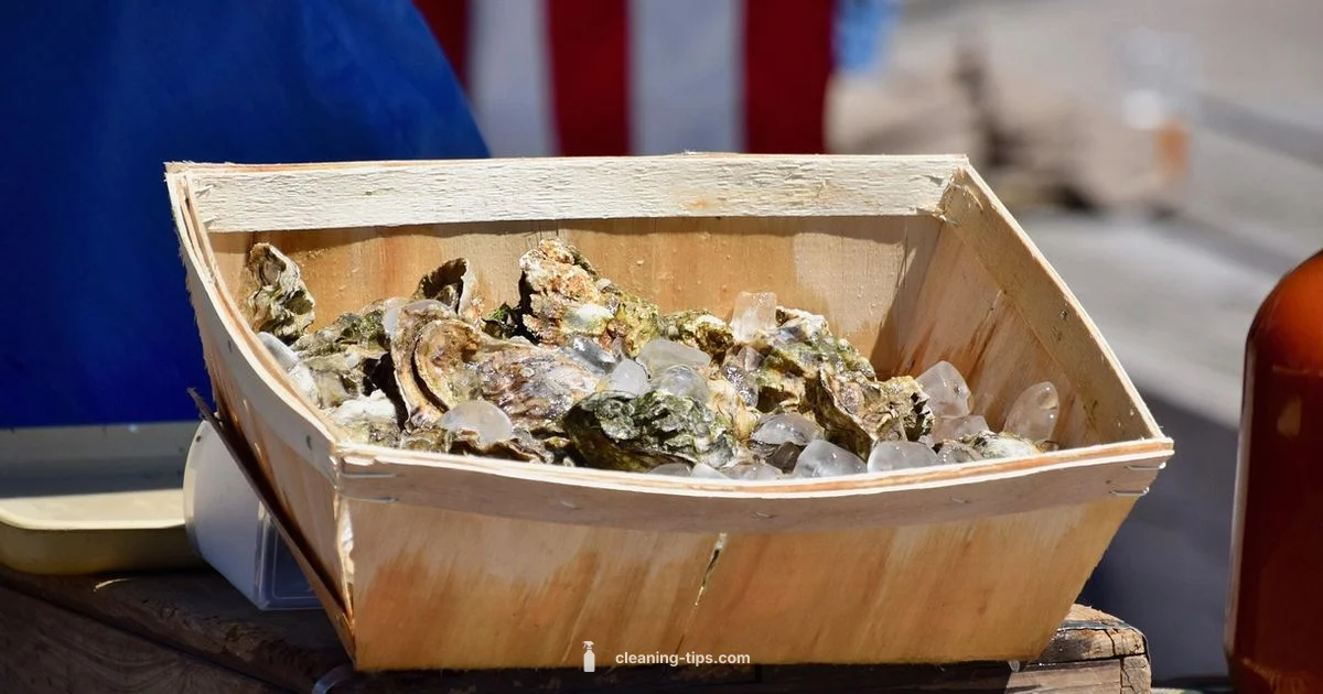 Clean Clams Guide - Cleaning Tips