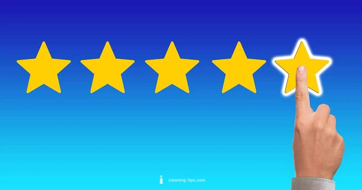 Clean Background Check Clean Background Check - Cleaning Tips