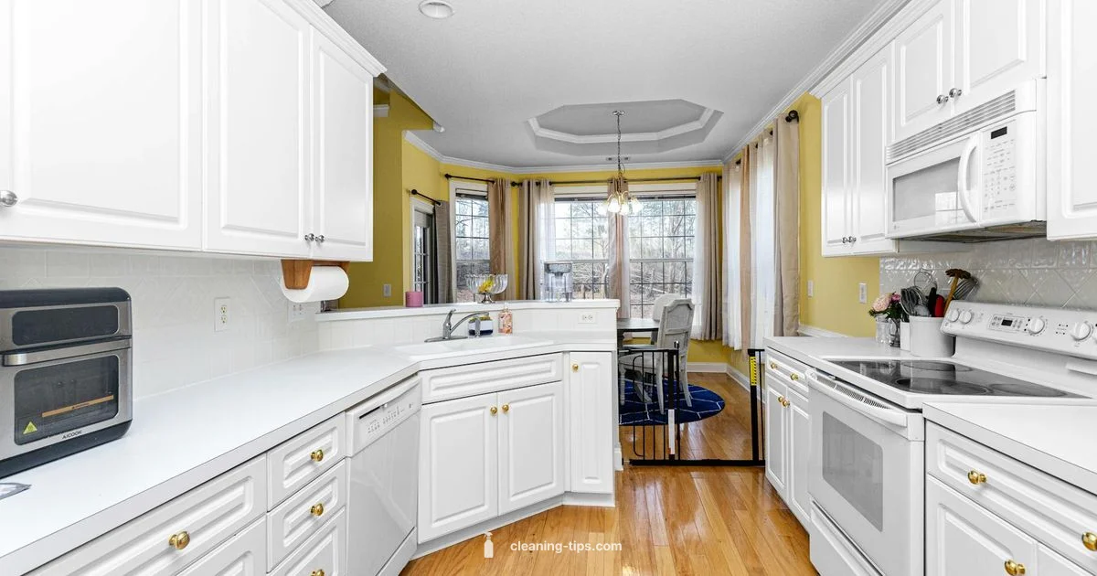 Go Clean Guide - Cleaning Tips