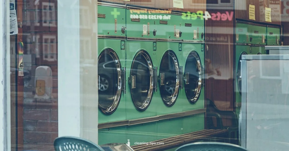 Dry Cleaning Process - Cleaning Tips