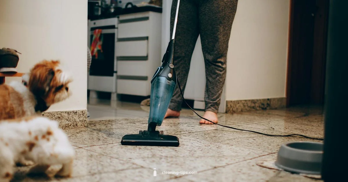 Dog Ear Care Guide - Cleaning Tips