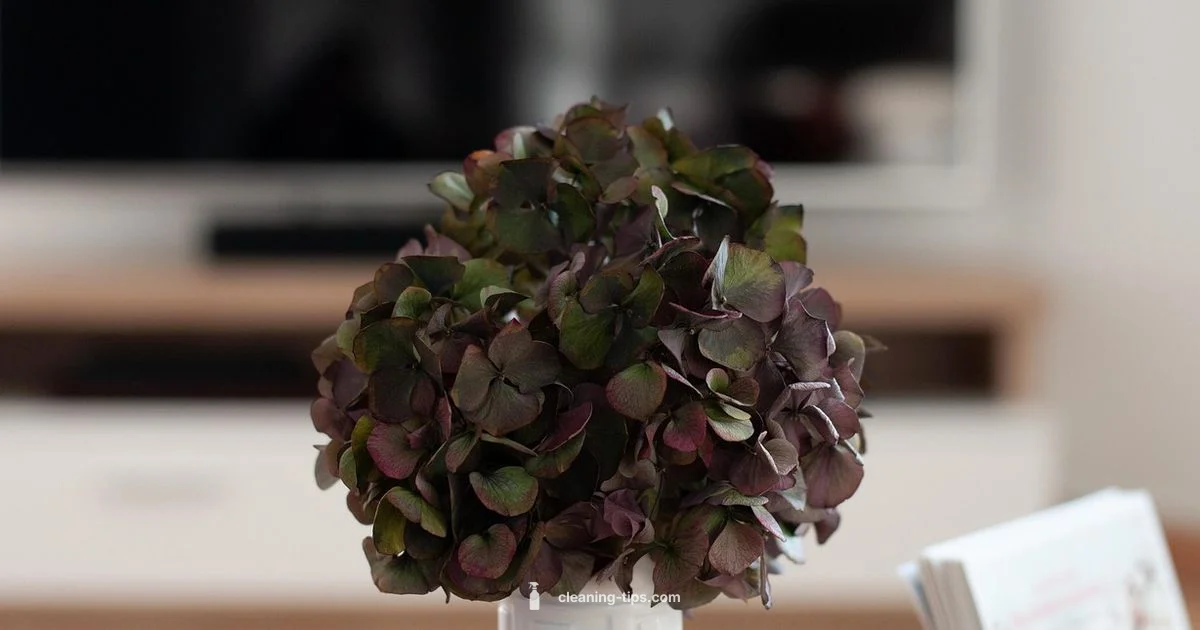 Cat-Safe Greens - Cleaning Tips