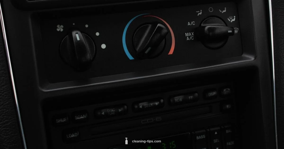 Mold in Car Cleanup - Cleaning Tips