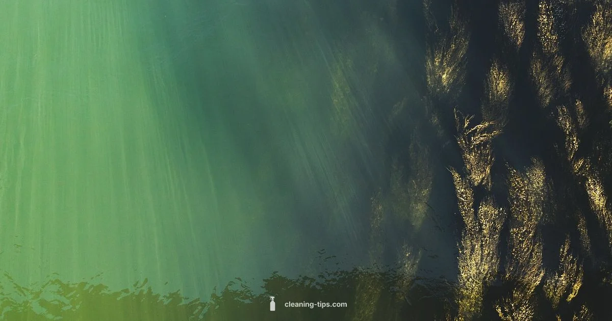 Earth's Clean Water Earth's Clean Water - Cleaning Tips