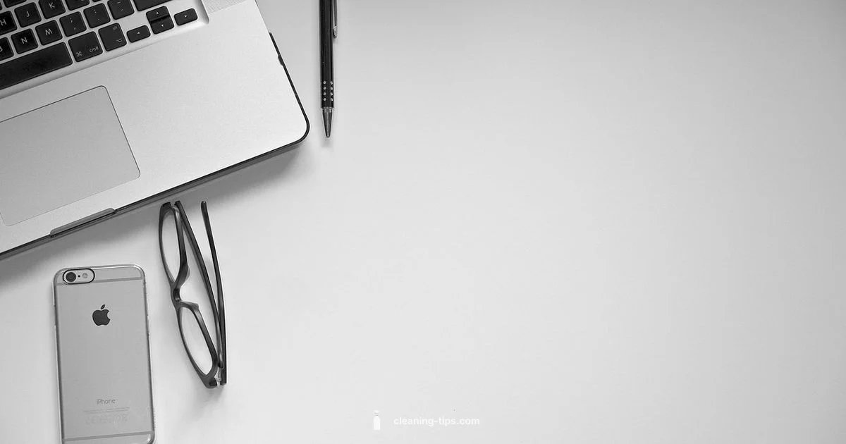 Clean iPhone Port Guide - Cleaning Tips