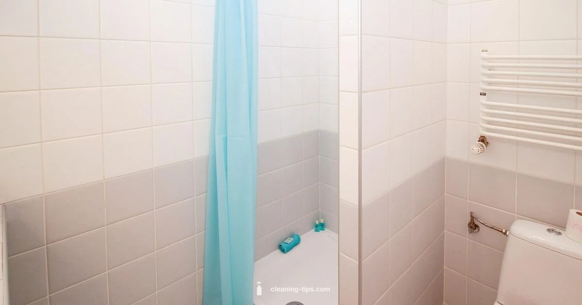 Shower Mold Guide - Cleaning Tips