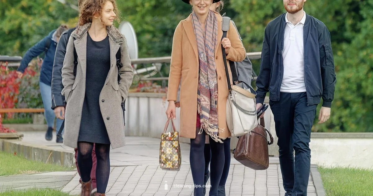 Clean Air Act Overview - Cleaning Tips