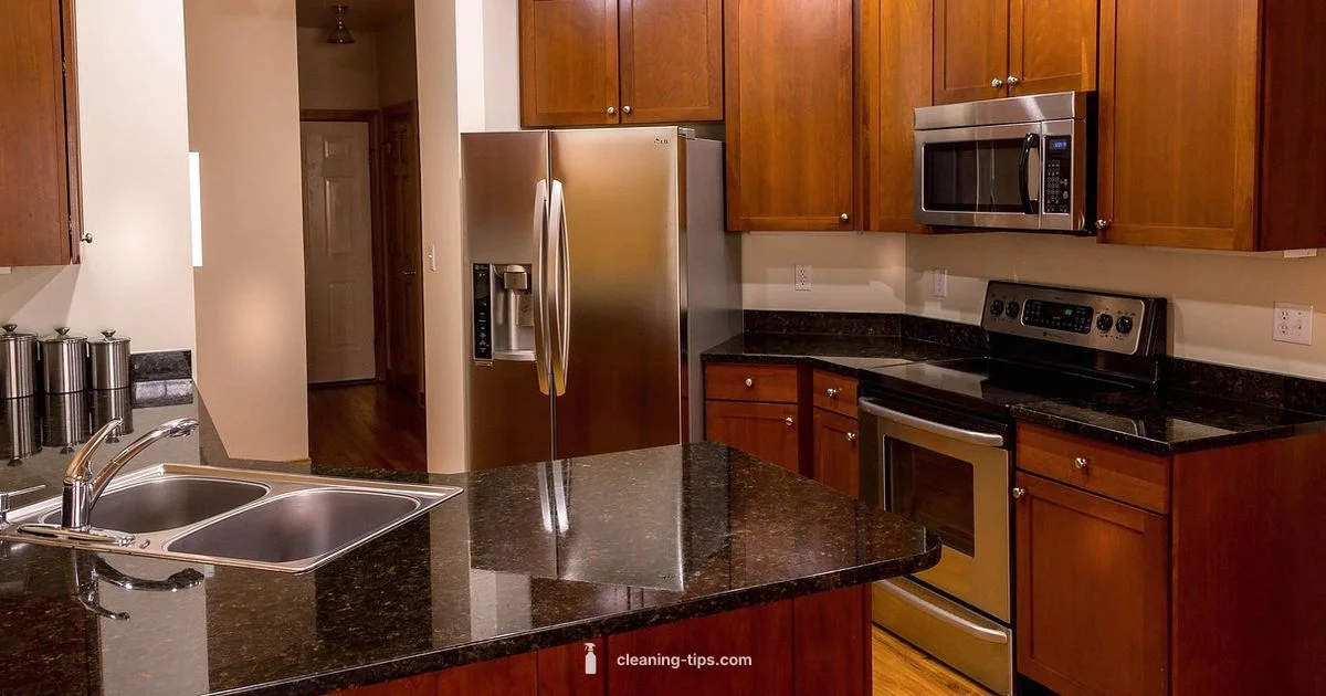 Stainless Shine - Cleaning Tips