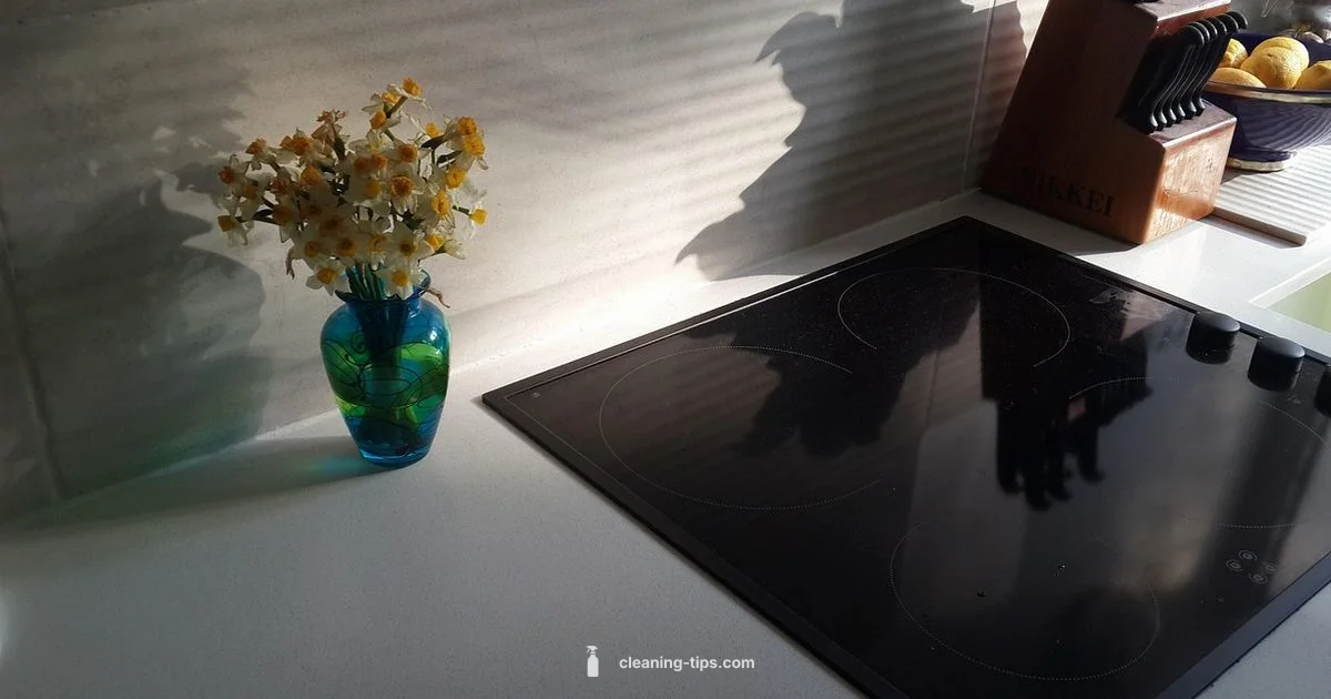 Microwave Deep Clean - Cleaning Tips