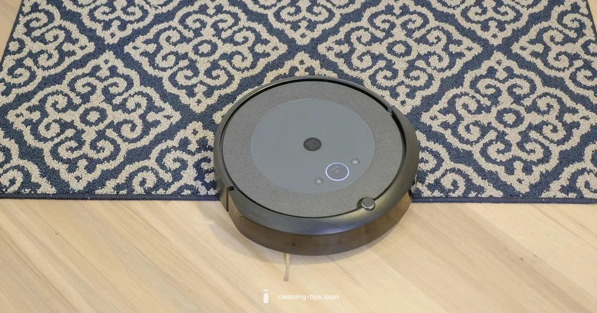 V15 Total Clean vs Absolute - Cleaning Tips