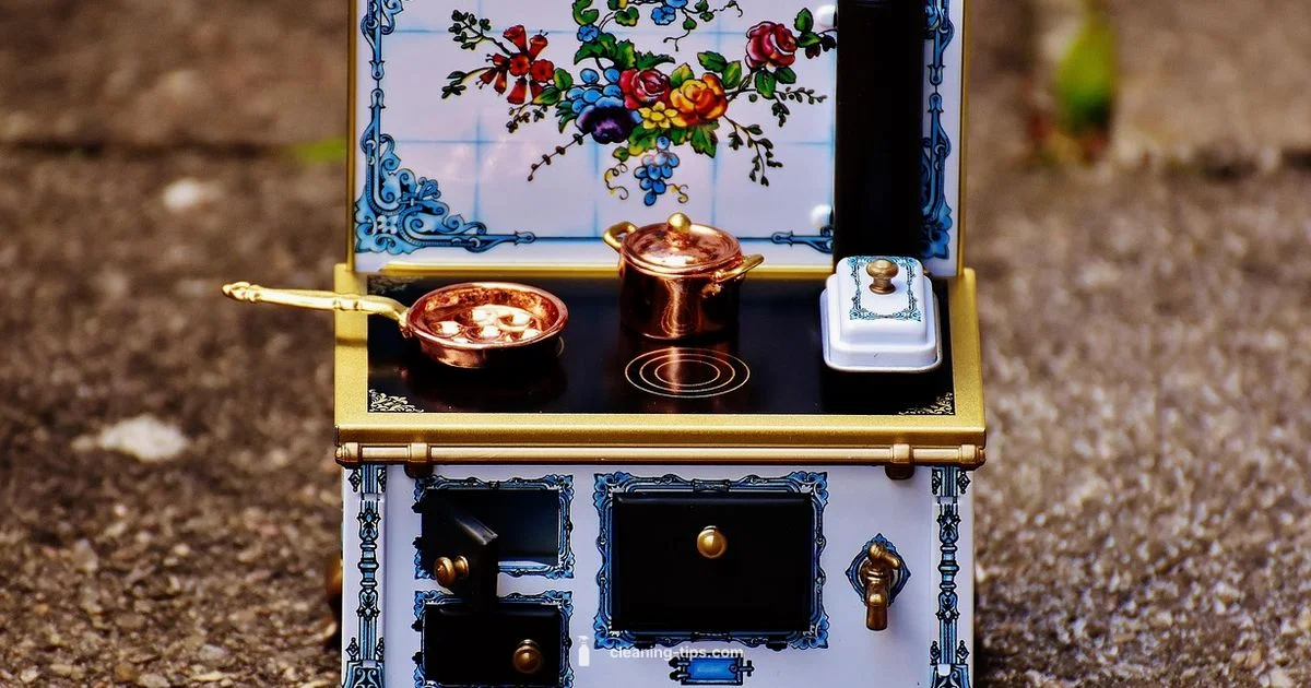 Steam Clean Guide - Cleaning Tips