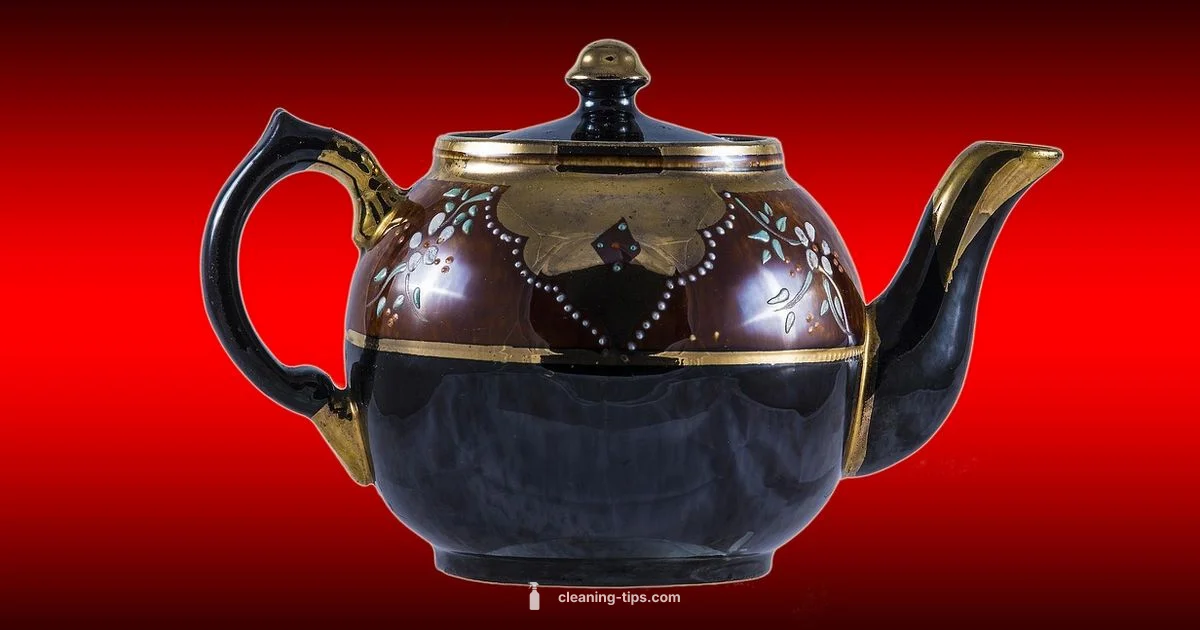 Ninja Cleaning Guide Ninja Cleaning Guide - Cleaning Tips