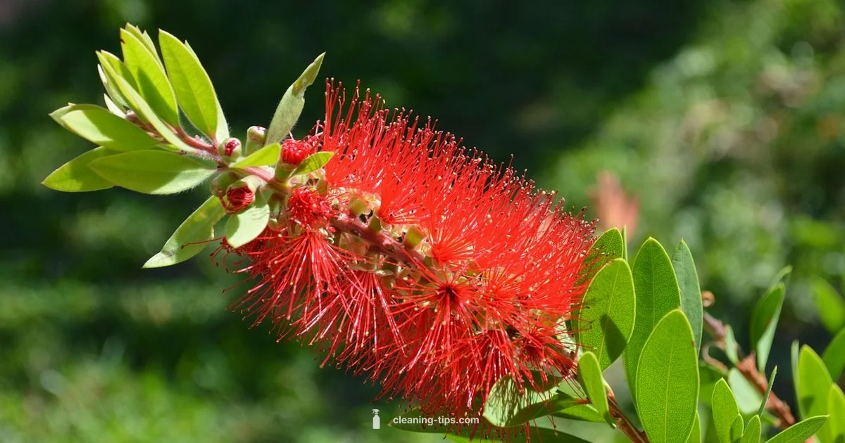 Best Interior Cleaners - Cleaning Tips