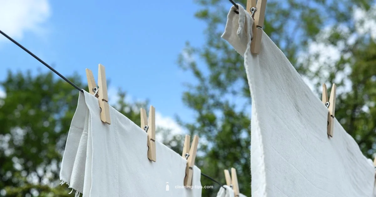 Dryer Cleaning - Cleaning Tips