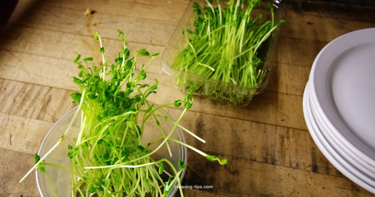 Clean Eating Wins - Cleaning Tips