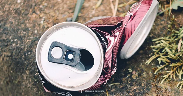 Clean Can Master - Cleaning Tips