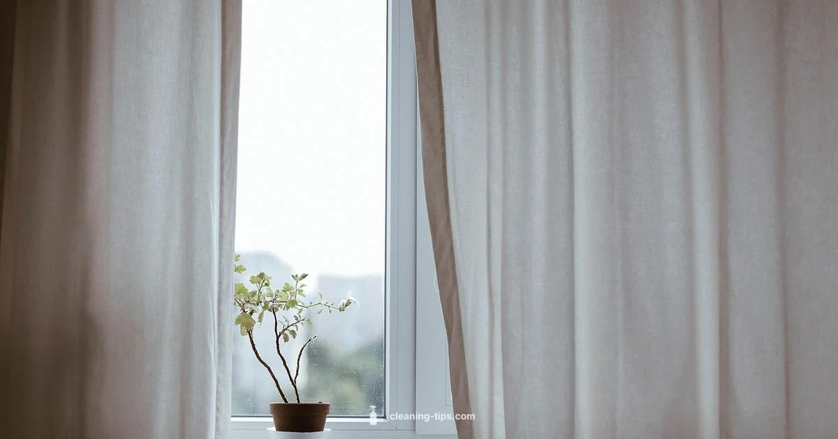 Air Purifying Plants Air Purifying Plants - Cleaning Tips