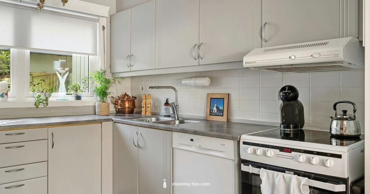 Clean 4 U Guide - Cleaning Tips