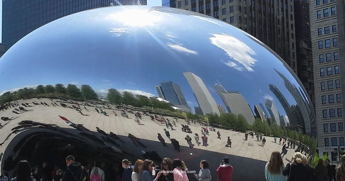 Bean Maintenance Notes - Cleaning Tips