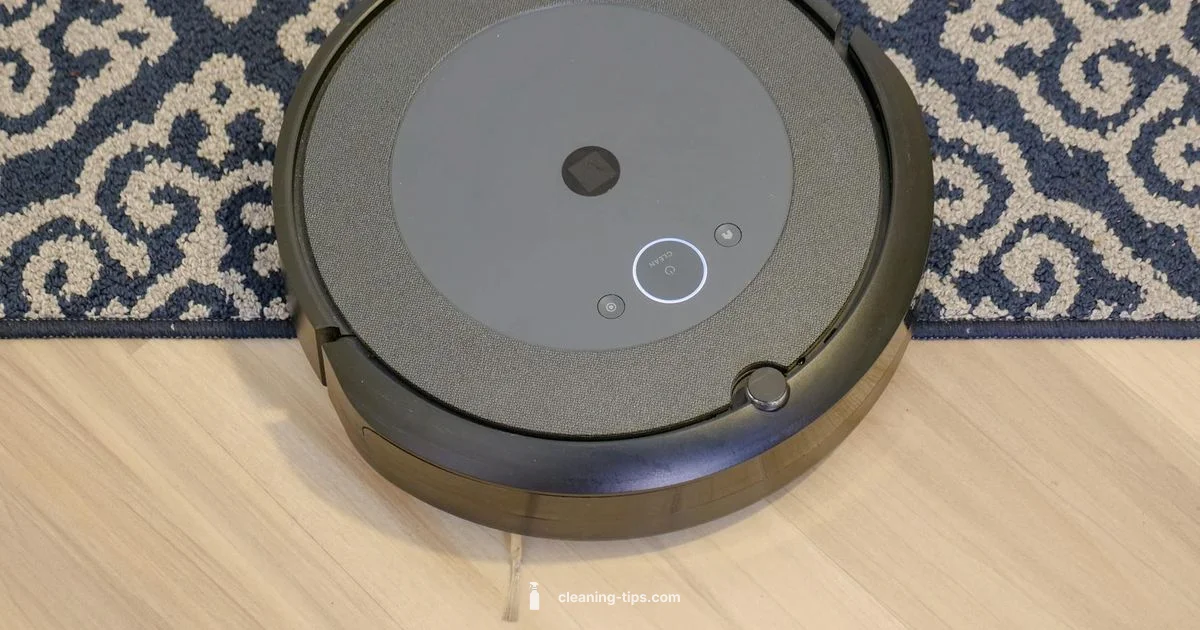 Roomba Cleaning Guide Roomba Cleaning Guide - Cleaning Tips