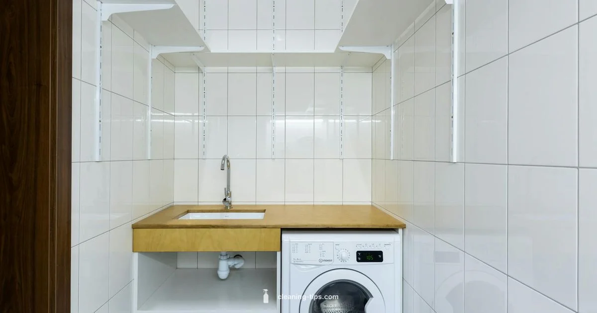 Washer Cleaning Guide - Cleaning Tips