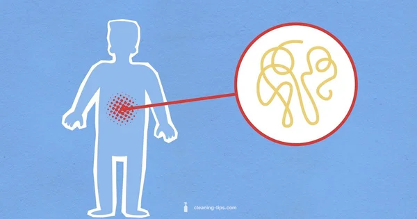 Stomach Cleansing Basics - Cleaning Tips