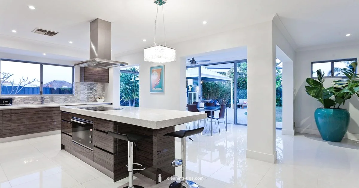 Why Clean Matters - Cleaning Tips