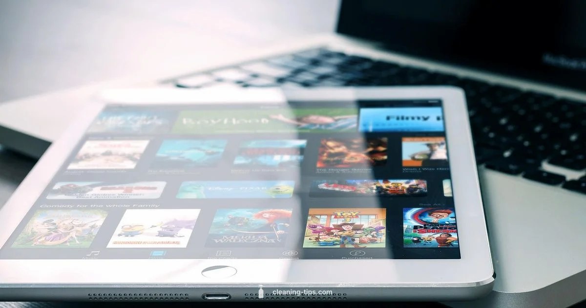 Pristine iPad Screen - Cleaning Tips