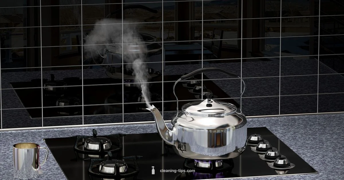 Healthy Home Cleaning - Cleaning Tips