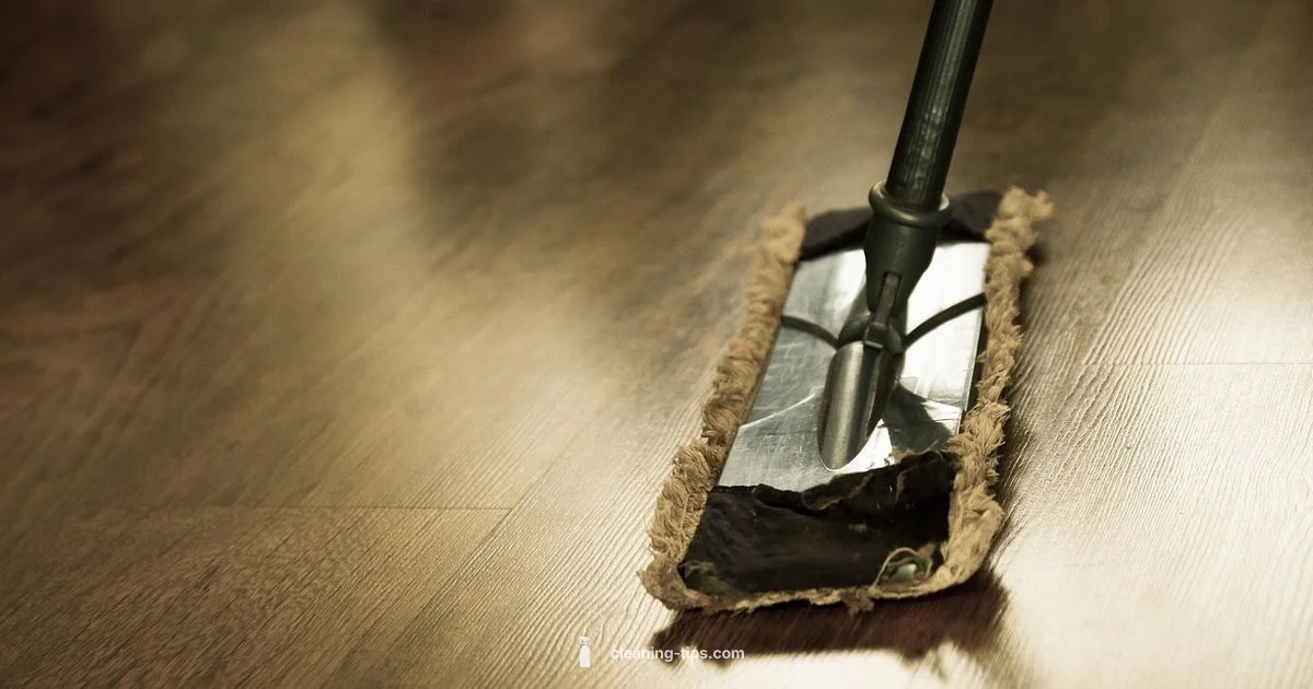 Testing Transparency for Cleaners - Cleaning Tips