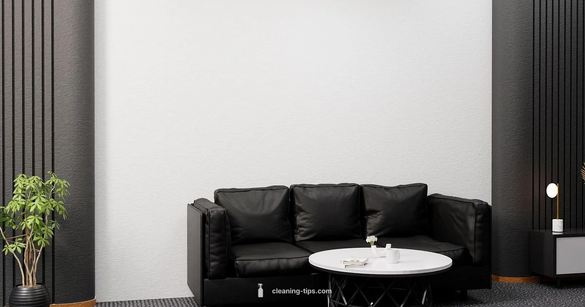 Cleaner vs Janitor - Cleaning Tips