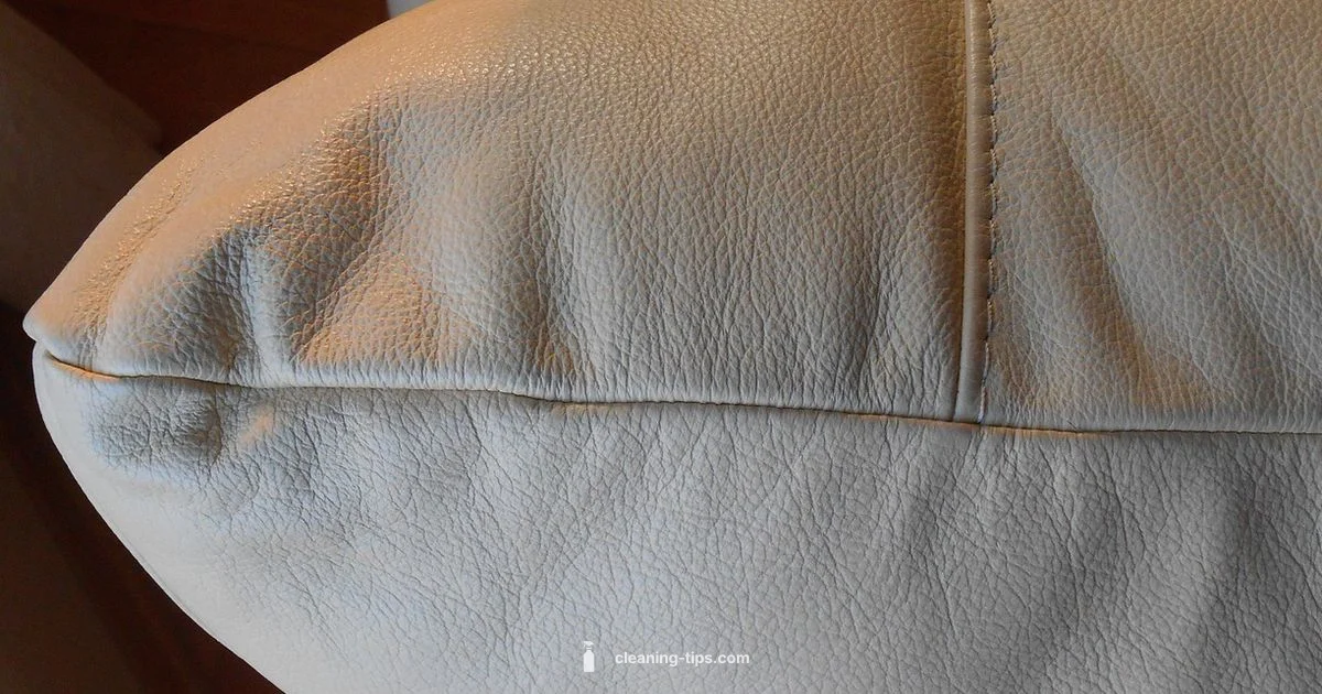 Leather Care Guide - Cleaning Tips