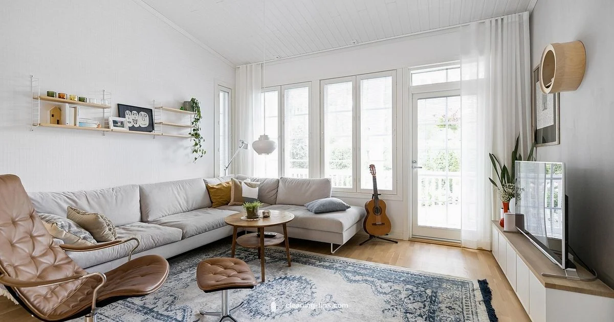 Carpet Clean Guide - Cleaning Tips