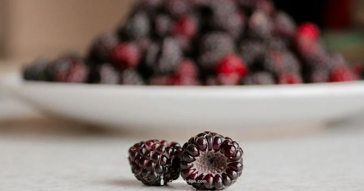 Fresh Blackberry Prep - Cleaning Tips