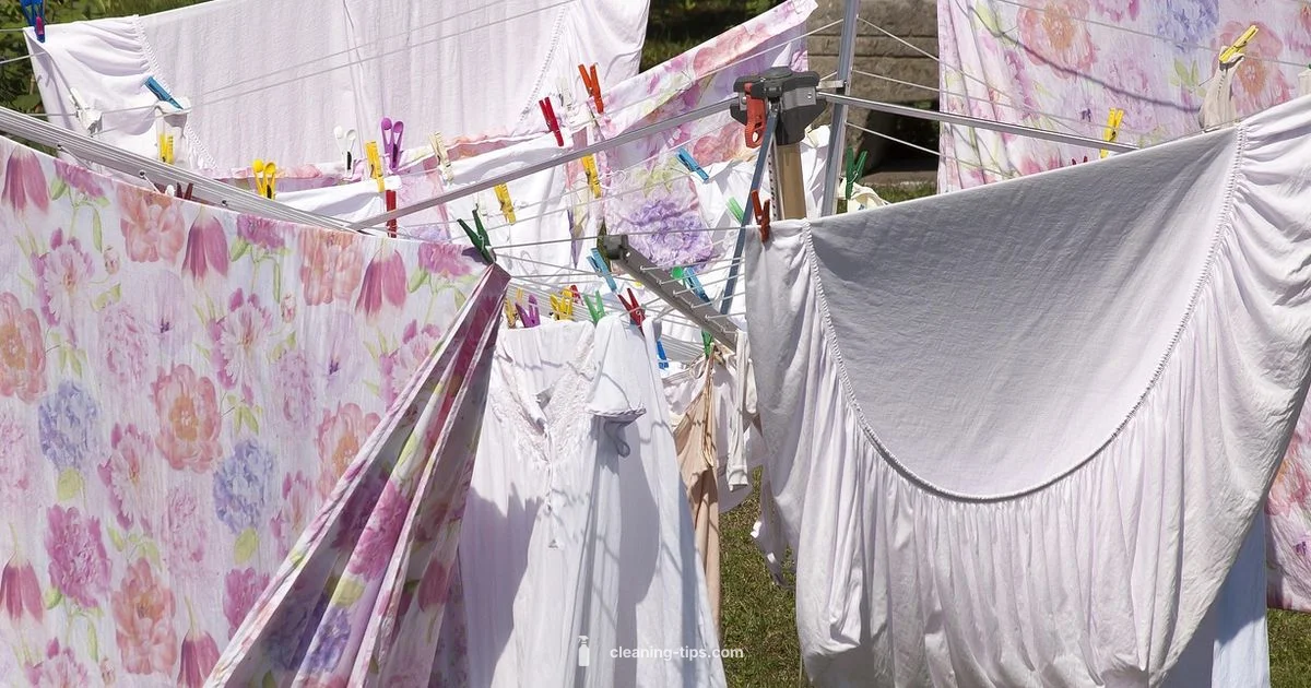 Local Wash Cleaners - Cleaning Tips