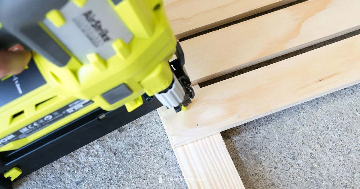 Rent Carpet Cleaners - Cleaning Tips