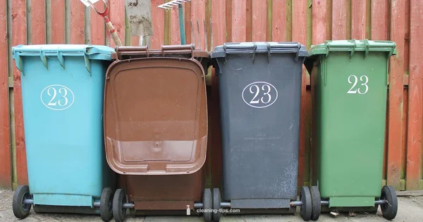 Fresh Bins, Clean Home - Cleaning Tips
