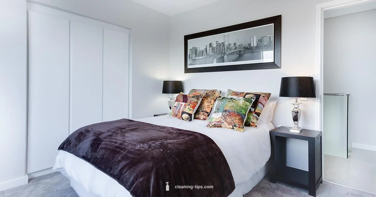 Origins of Clean Girl - Cleaning Tips