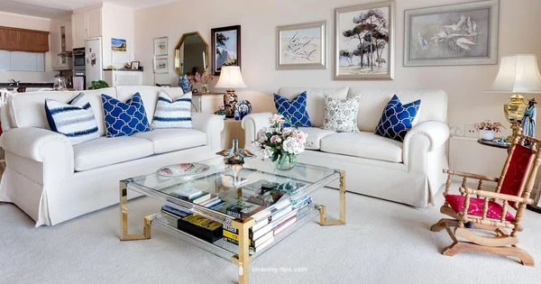 Move In/Out Prep - Cleaning Tips