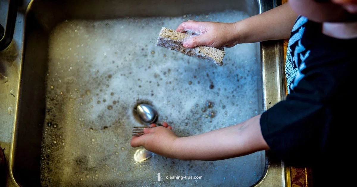 Dishwasher Cleaning Guide - Cleaning Tips