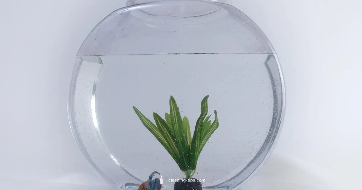 Clean Aquarium Care Clean Aquarium Care - Cleaning Tips