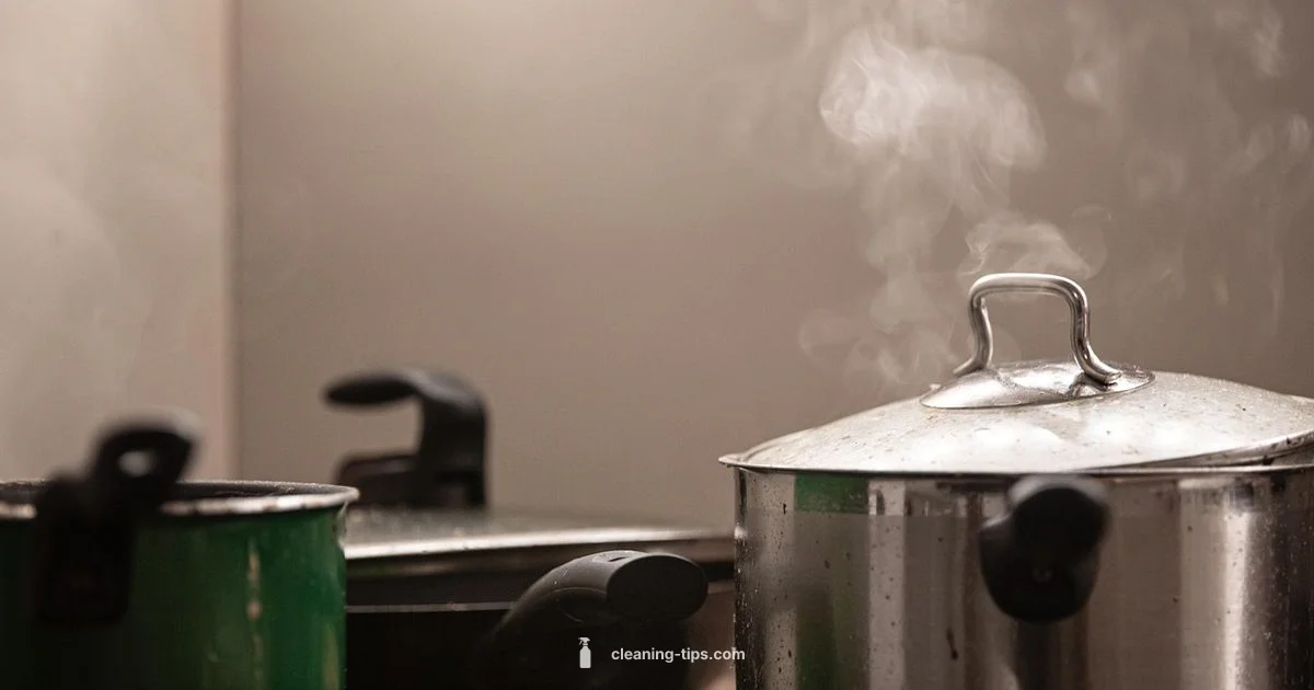 Steam Cleaner Basics - Cleaning Tips