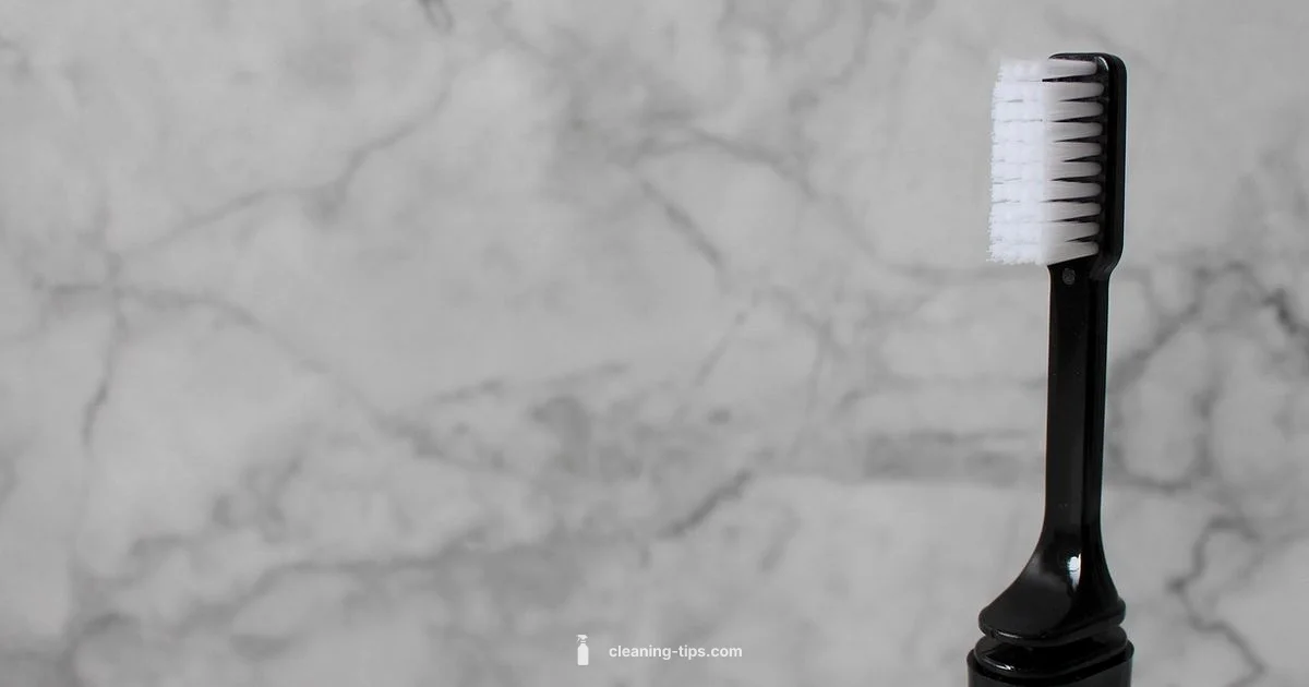 Dental Cleaning Basics Dental Cleaning Basics - Cleaning Tips