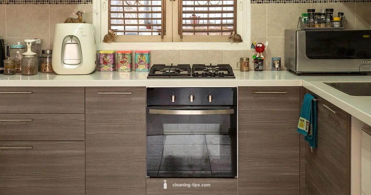 Oven Cleaning Guide - Cleaning Tips