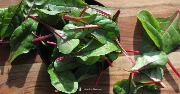 Save on Clean Simple Eats - Cleaning Tips