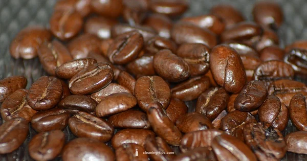 Clean Coffee Guide - Cleaning Tips