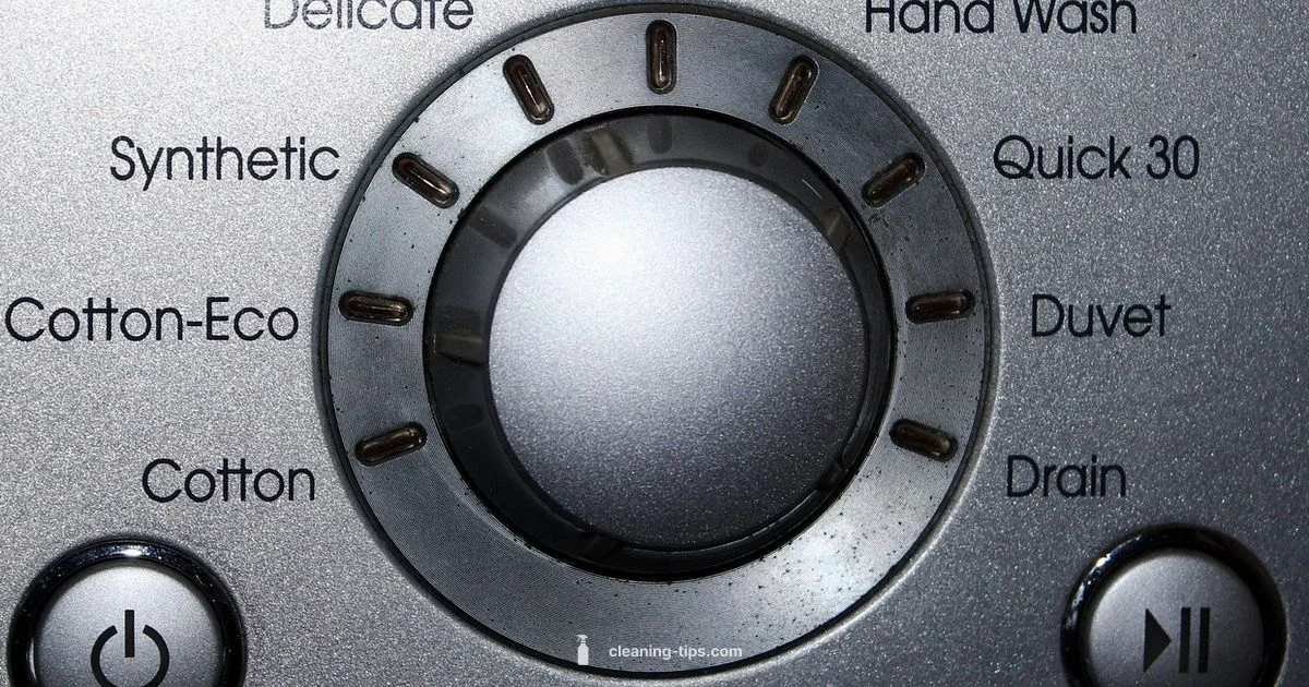 Clean Washer Filter Clean Washer Filter - Cleaning Tips