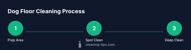 Process infographics showing steps to clean dog floors